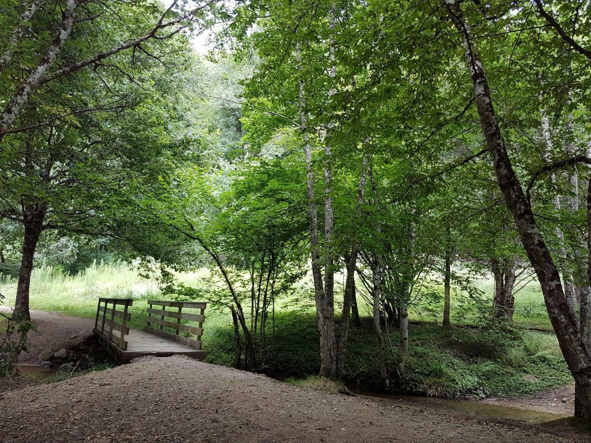 Gite De Sauviat 25 Chemin Du Grand Pacher Le Bourg De Sauviat 63120 Exterior photo