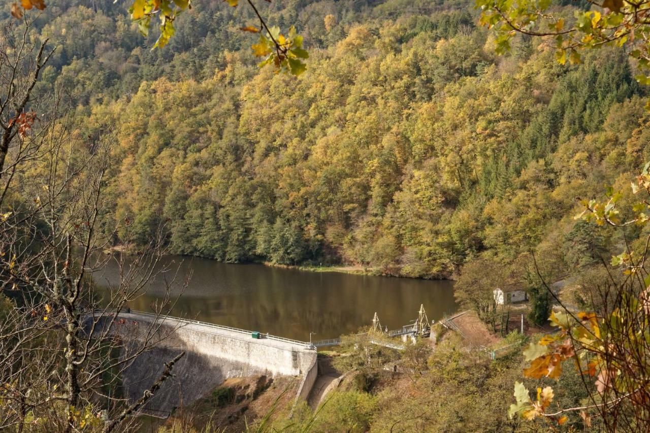 Gite De Sauviat 25 Chemin Du Grand Pacher Le Bourg De Sauviat 63120 Exterior photo